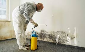 Trusted Scottdale, GA Mold Removal Services Experts