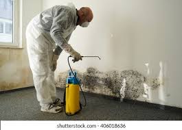 Why You Should Choose Our Mold Remediation Services in Scottdale, GA